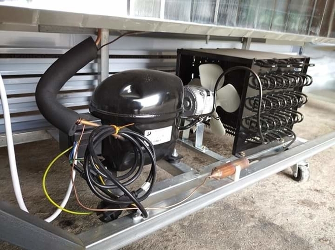 O tipo de exposição econômico das portas de vidro dobro refrigera e preserva o armário da cerveja do frescor para as bebidas 12