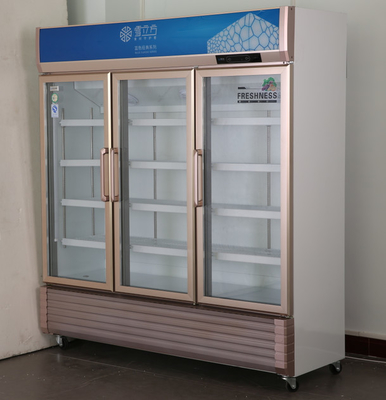 Triple Door Glass Door Display Freezer Vertical Fan Cooling