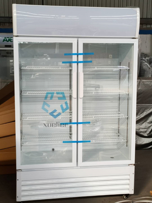Double Door Pepsi Glass Door Refrigerator Upright Display Fridge Beer cooler