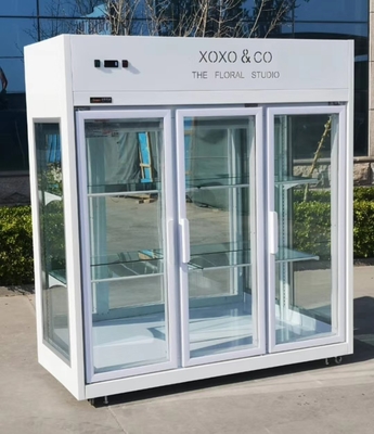Folding Door Refrigerated Floral Display Cases Air Cooling CE
