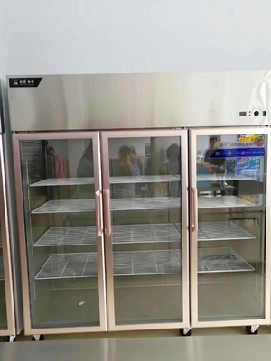 Large Capacity Display Cabinet Refrigerator Freezer 3 Door 1.2m