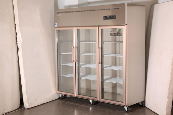 Large Capacity Display Cabinet Refrigerator Freezer 3 Door 1.2m