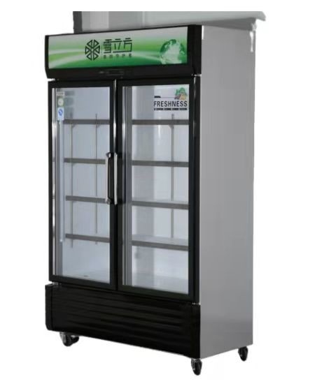 Double Door Upright Display Bar Fridge With Glass Door 738L