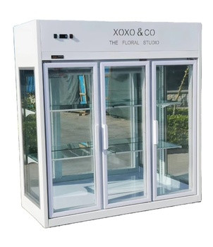 Folding Door Refrigerated Floral Display Cases Air Cooling CE
